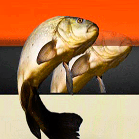 Equipos de Pesca