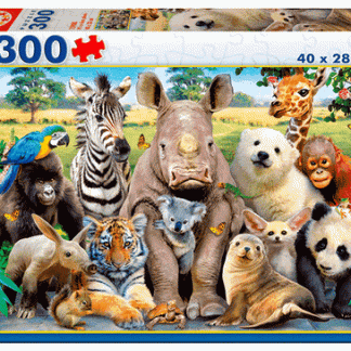 300 Foto de Clase