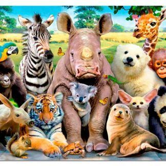 1000 Foto de Clase
