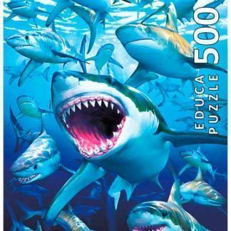 500 Tiburones