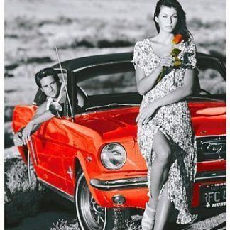1000 Country Romance