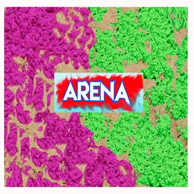 Arena
