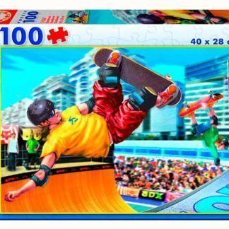 100 Skateboard