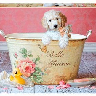 500 Belle Maison