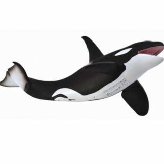 Orca