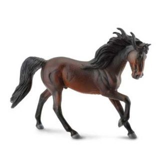 Caballo Semental Andaluz Castaño