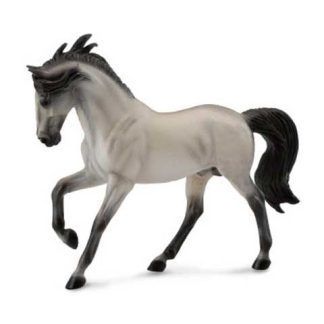 Caballo Semental Andaluz Gris