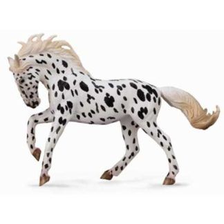 Yegua Knabstrup, Leopardo Oscuro