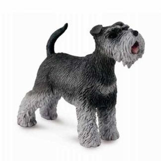 Schnauzer
