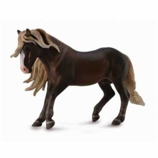 Caballo Negro del Bosque