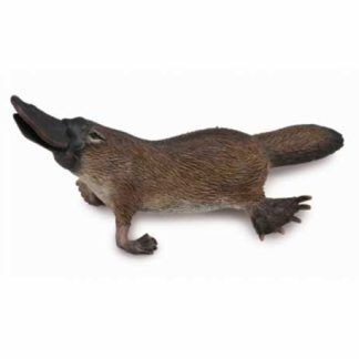 Ornitorrinco