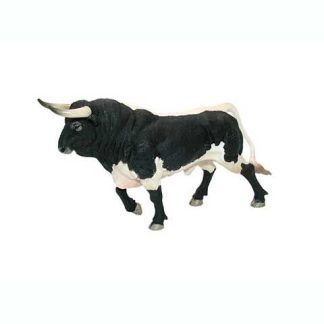 Toro Bravo Aparejado Trotando
