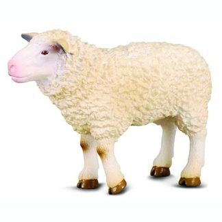 Oveja