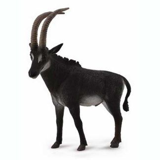Antílope Negro Macho