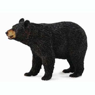 Oso Negro