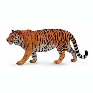 Tigre Siberiano