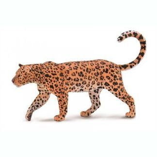 Leopardo Africano