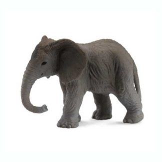 Cría Elefante Africano