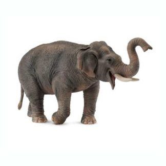 Elefante Asiático