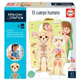 El Cuerpo Humano