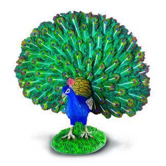 Pavo Real