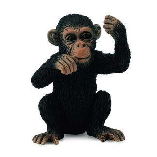 Cachorro de Chimpancés