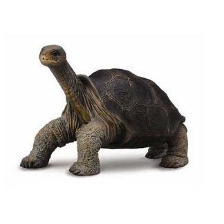 Tortuga Gigante de Pinta