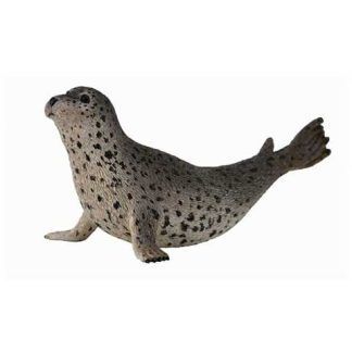 Foca Manchada