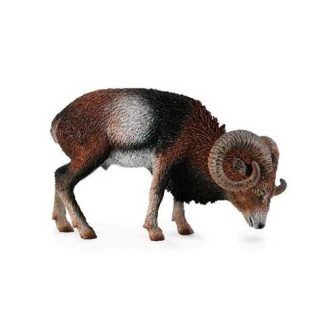 Muflón Europeo