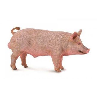 Cerdo
