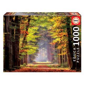 1000 Paseo Otoñal