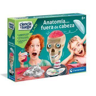 Anatomía