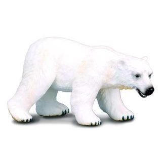 Oso Polar