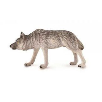 Lobo de Bosque Cazando