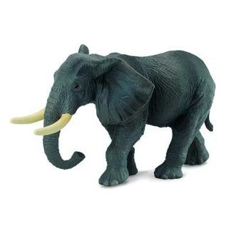 Elefante Africano