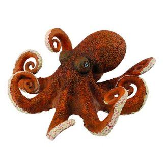 Pulpo
