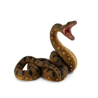 Anaconda Verde