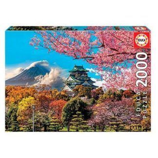 2000 Castillo de Osaka, Japón