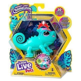 LLP Sunny tu Camaleón Luminoso