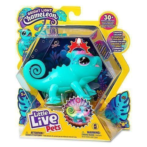 LLP Sunny tu Camaleón Luminoso
