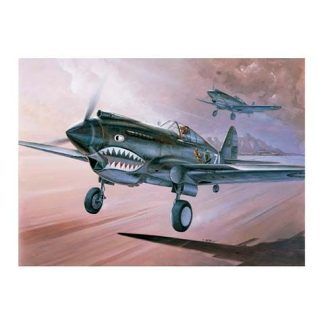 Avión Avión P-40C "Flying Tigers" 1:48
