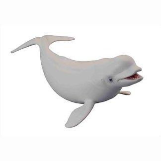 Beluga