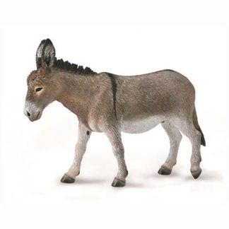 Burro