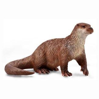 Nutria Común