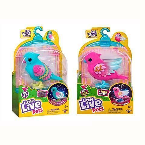 LLP Pajaritos Parlanchines