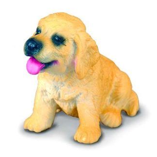 Cachorro de Golden Retriever