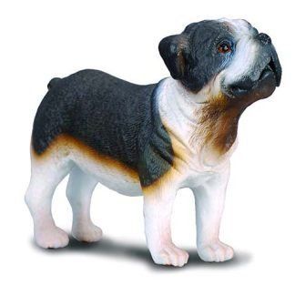Bulldog