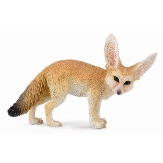 Zorro del Desierto