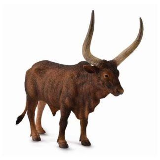 Toro Watusi