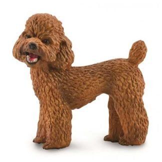Caniche